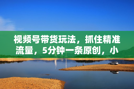 视频号带货玩法，抓住精准流量，5分钟一条原创，小白也能轻松每天500+！