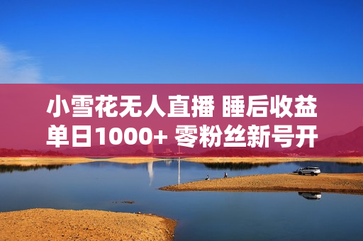 小雪花无人直播 睡后收益单日1000+ 零粉丝新号开播 不违规 看完就会