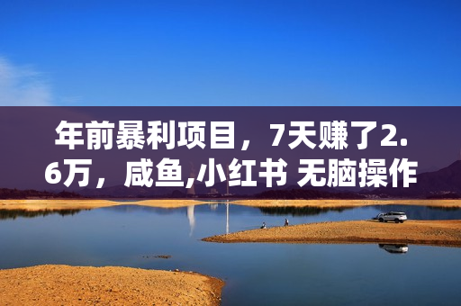 年前暴利项目，7天赚了2.6万，咸鱼,小红书 无脑操作
