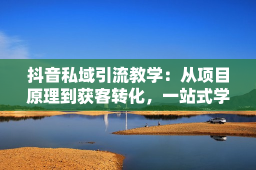 抖音私域引流教学：从项目原理到获客转化，一站式学习抖商 私域
