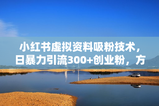 小红书虚拟资料吸粉技术，日暴力引流300+创业粉，方法简单高效，收入稳
