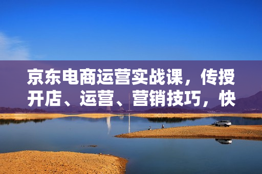 京东电商运营实战课，传授开店、运营、营销技巧，快速上手，打造电商爆款