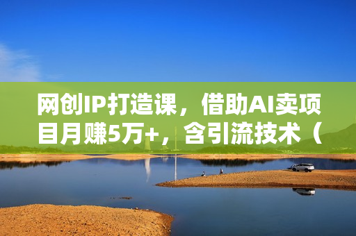 网创IP打造课，借助AI卖项目月赚5万+，含引流技术（共26节课）