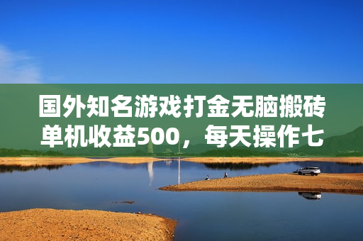 国外知名游戏打金无脑搬砖单机收益500，每天操作七到八个小时