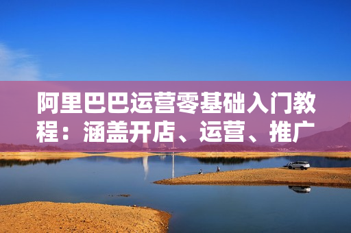 阿里巴巴运营零基础入门教程：涵盖开店、运营、推广，快速成为电商高手