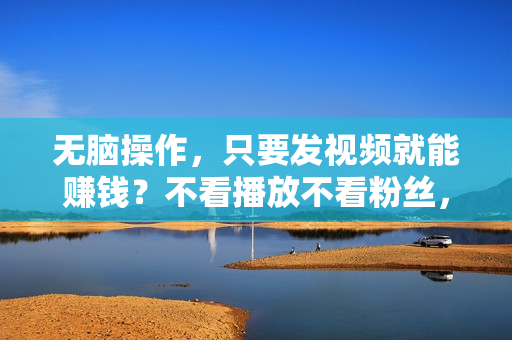 无脑操作，只要发视频就能赚钱？不看播放不看粉丝，小白轻松上手，一天