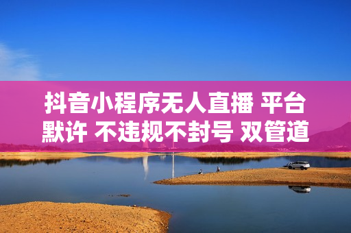 抖音小程序无人直播 平台默许 不违规不封号 双管道收益 日入1500+ 小白