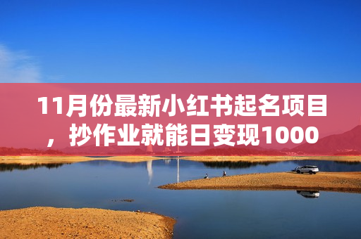 11月份最新小红书起名项目，抄作业就能日变现1000+，可招代理，无限裂变
