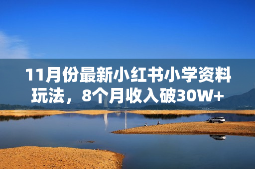 11月份最新小红书小学资料玩法，8个月收入破30W+日引流8000+，简单粗暴