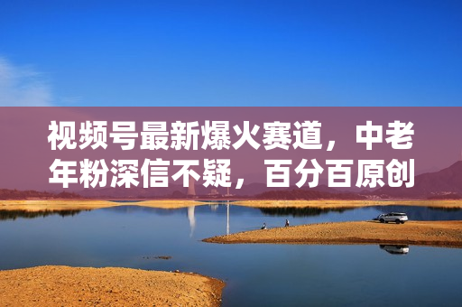 视频号最新爆火赛道，中老年粉深信不疑，百分百原创，新号三天收益轻松