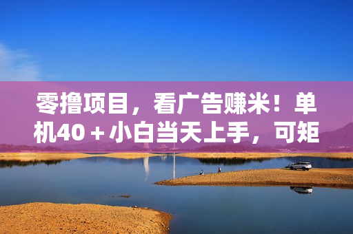 零撸项目，看广告赚米！单机40＋小白当天上手，可矩阵操作日入500＋