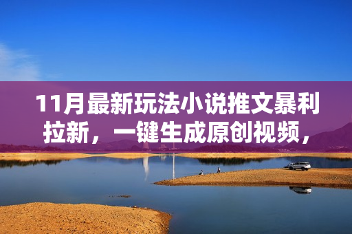 11月最新玩法小说推文暴利拉新，一键生成原创视频，小白可单号日入800+