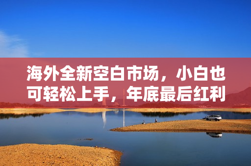海外全新空白市场，小白也可轻松上手，年底最后红利