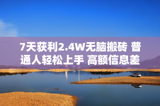 7天获利2.4W无脑搬砖 普通人轻松上手 高额信息差项目  实现睡后收入
