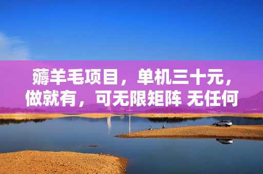 薅羊毛项目，单机三十元，做就有，可无限矩阵 无任何难度