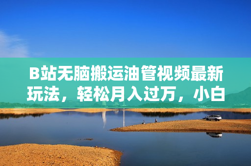 B站无脑搬运油管视频最新玩法，轻松月入过万，小白轻松上手，全新蓝海赛道