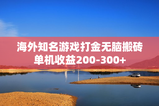 海外知名游戏打金无脑搬砖单机收益200-300+