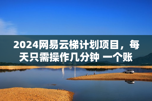 2024网易云梯计划项目，每天只需操作几分钟 一个账号一个月一万到三万