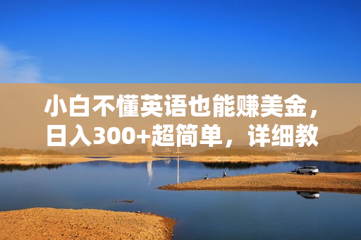 小白不懂英语也能赚美金，日入300+超简单，详细教程解读
