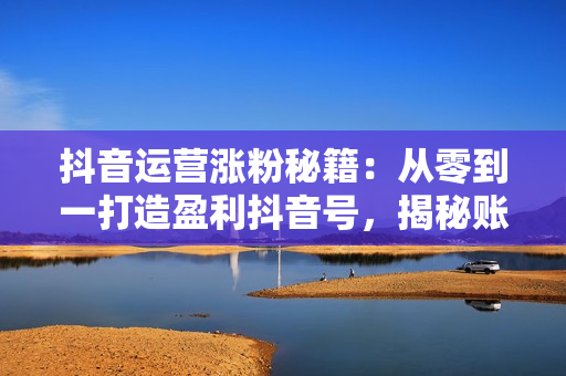 抖音运营涨粉秘籍：从零到一打造盈利抖音号，揭秘账号定位与制作秘籍