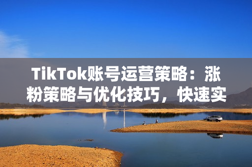 TikTok账号运营策略：涨粉策略与优化技巧，快速实现粉丝增长与变现