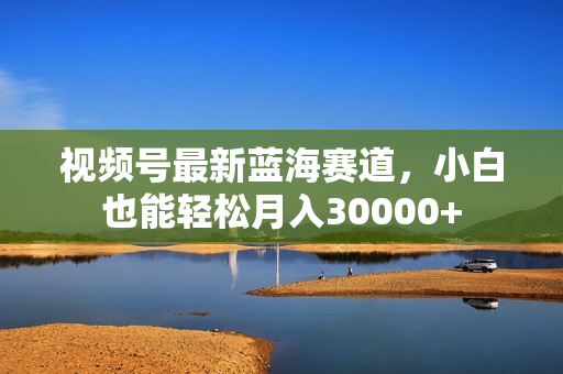 视频号最新蓝海赛道，小白也能轻松月入30000+