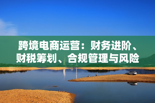 跨境电商运营：财务进阶、财税筹划、合规管理与风险控制