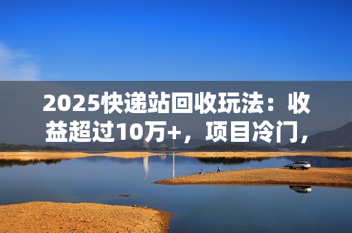 2025快递站回收玩法：收益超过10万+，项目冷门，0门槛