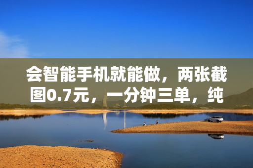 会智能手机就能做，两张截图0.7元，一分钟三单，纯薅羊毛一天200+