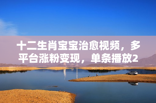 十二生肖宝宝治愈视频，多平台涨粉变现，单条播放2000W+