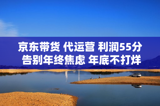 京东带货 代运营 利润55分 告别年终焦虑 年底不打烊 持续现金流