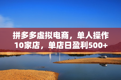 拼多多虚拟电商，单人操作10家店，单店日盈利500+