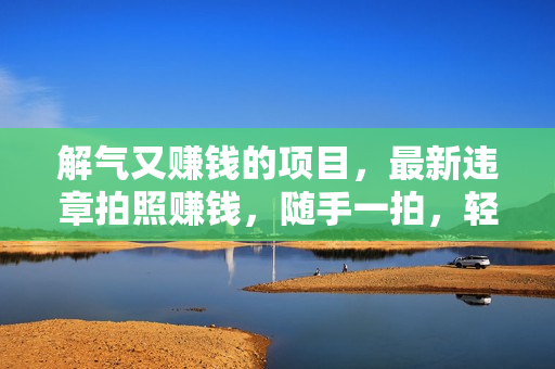 解气又赚钱的项目，最新违章拍照赚钱，随手一拍，轻松收入3000+