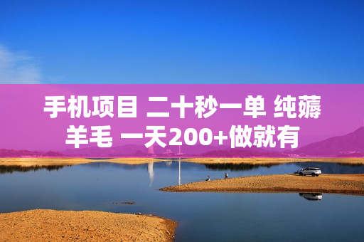 手机项目 二十秒一单 纯薅羊毛 一天200+做就有