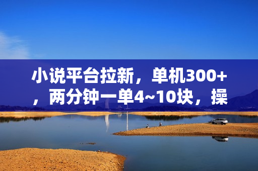 小说平台拉新，单机300+，两分钟一单4~10块，操作简单可批量。