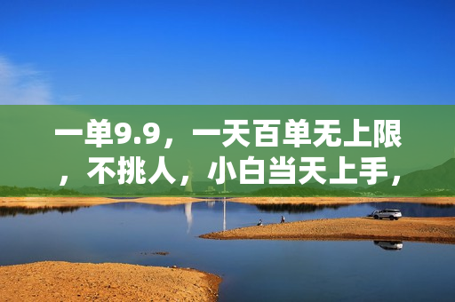 一单9.9，一天百单无上限，不挑人，小白当天上手，轻松日入1000+