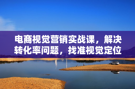 电商视觉营销实战课，解决转化率问题，找准视觉定位，实现高转化目标
