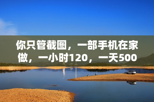 你只管截图，一部手机在家做，一小时120，一天500+
