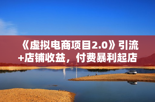 《虚拟电商项目2.0》引流+店铺收益，付费暴利起店