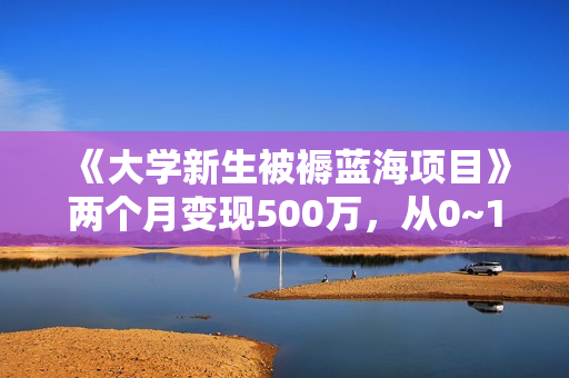 《大学新生被褥蓝海项目》两个月变现500万，从0~1项目陪跑训练营