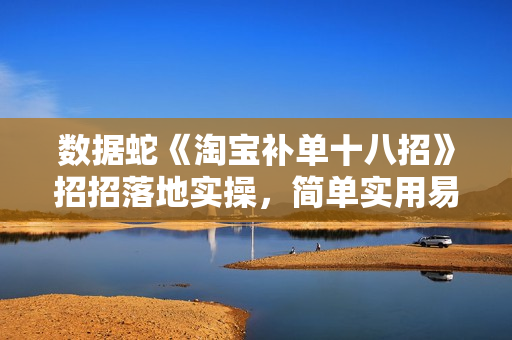 数据蛇《淘宝补单十八招》招招落地实操，简单实用易学