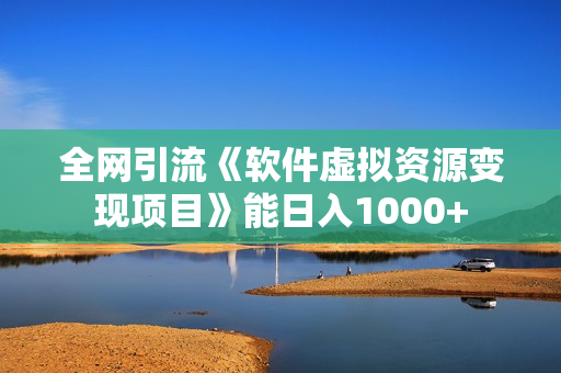 全网引流《软件虚拟资源变现项目》能日入1000+