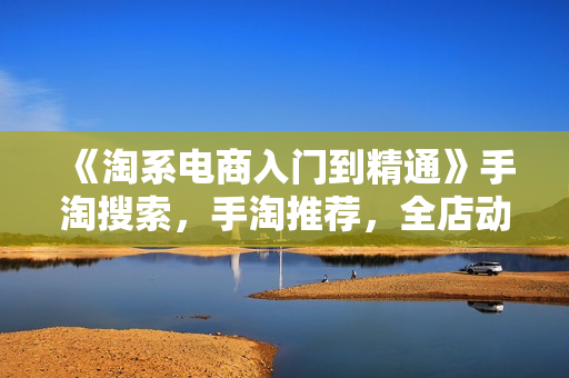 《淘系电商入门到精通》手淘搜索，手淘推荐，全店动销