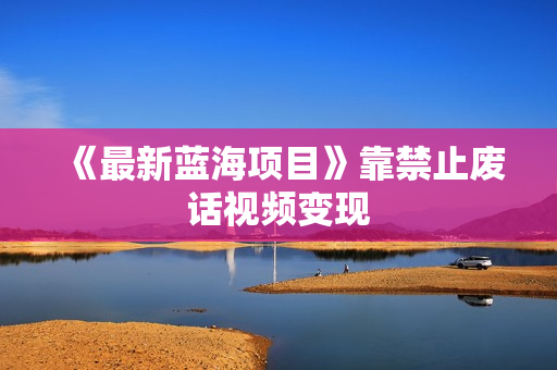 《最新蓝海项目》靠禁止废话视频变现