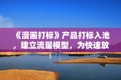 《漫画打标》产品打标入池，建立流量模型，为快速放大流量做准备
