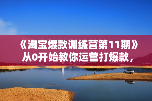 《淘宝爆款训练营第11期》 从0开始教你运营打爆款，方向+实操+放大