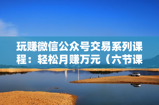 玩赚微信公众号交易系列课程：轻松月赚万元（六节课-视频）
