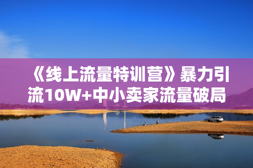《线上流量特训营》暴力引流10W+中小卖家流量破局技巧等等