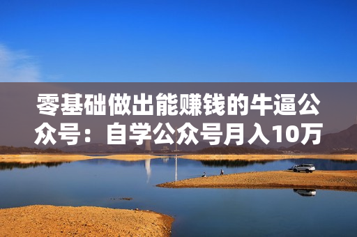 零基础做出能赚钱的牛逼公众号：自学公众号月入10万元（全套17节视频教程）