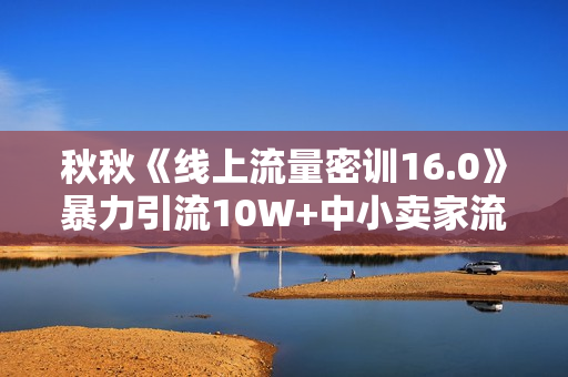 秋秋《线上流量密训16.0》暴力引流10W+中小卖家流量破局技巧 等等